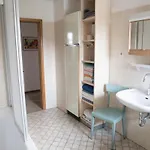 Cozy Bright Apartment- Large & Appartement