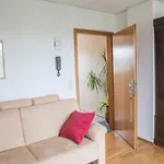 Appartement Cozy Bright Apartment- Large &