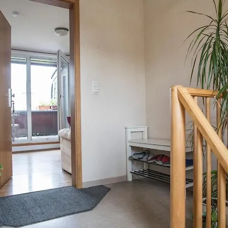 Cozy Bright Apartment- Large &