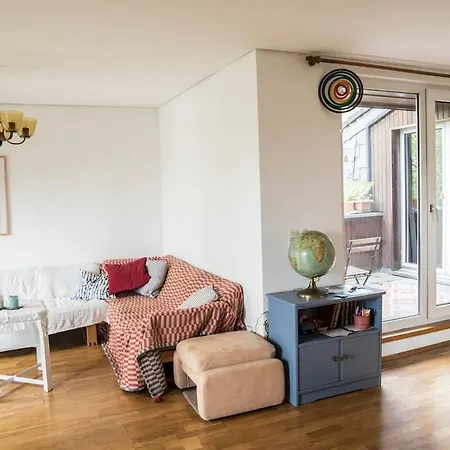Cozy Bright Apartment- Large & Apartment