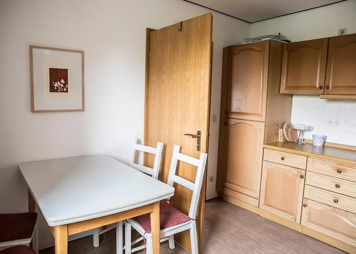 Cozy Bright Apartment- Large &