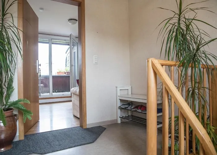 Cozy Bright Apartment- Large &